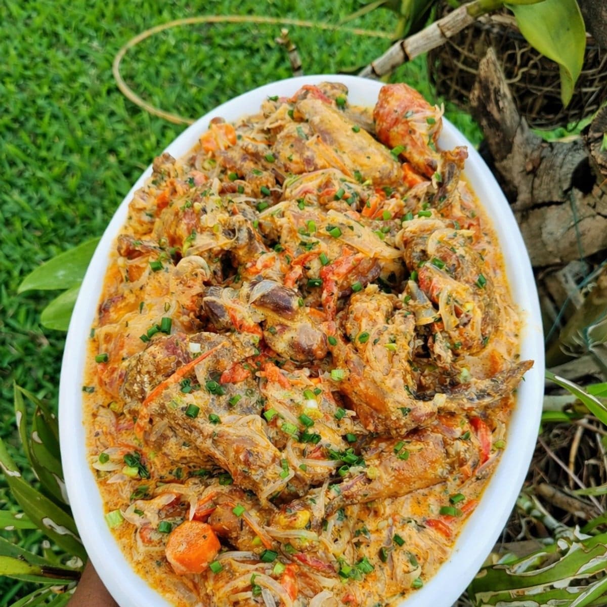 Poulet crémeux à la mayonnaise : recette onctueuse