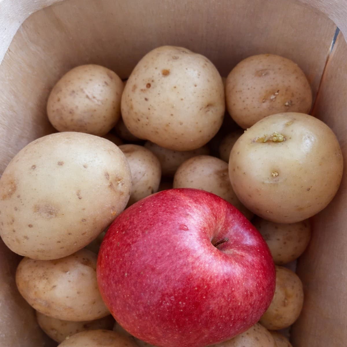 Comment Conserver les Pommes de Terre Fraîches Pendant 2 Mois : Guide Ultime