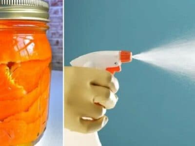 Utilisation des pelures d&rsquo;orange pour en faire un produit ménager bio