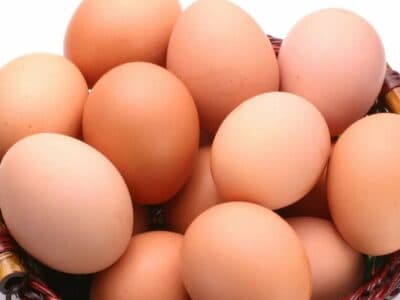 Combien de temps les œufs se conservent-ils?