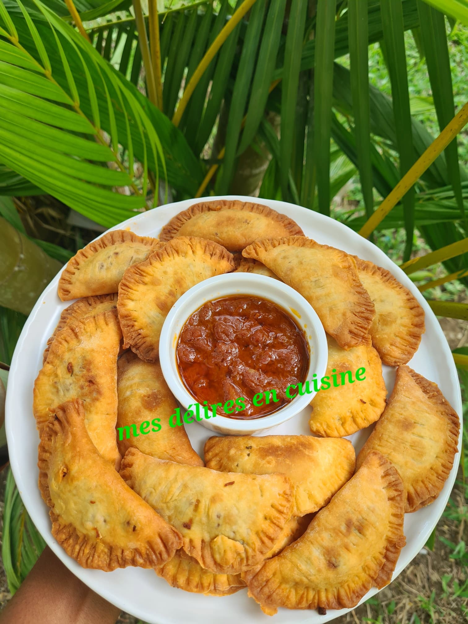 Chaussons à la viande de bœuf by lolo