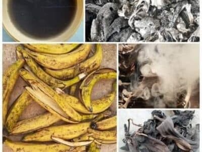 Comment fabriquer votre potasse de cuisine chez vous?