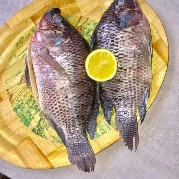 Astuce pour bien nettoyer son poisson