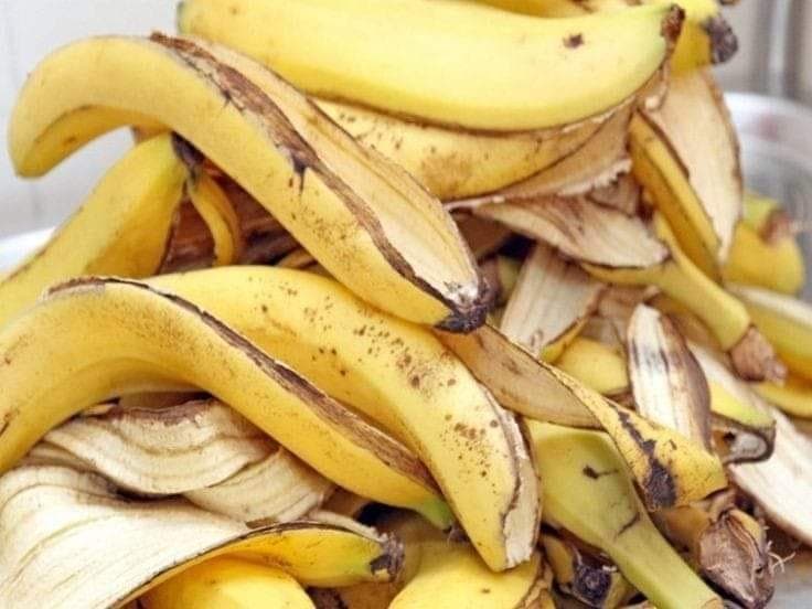 08 Astuces avec la peau de banane 🍌🍌🍌