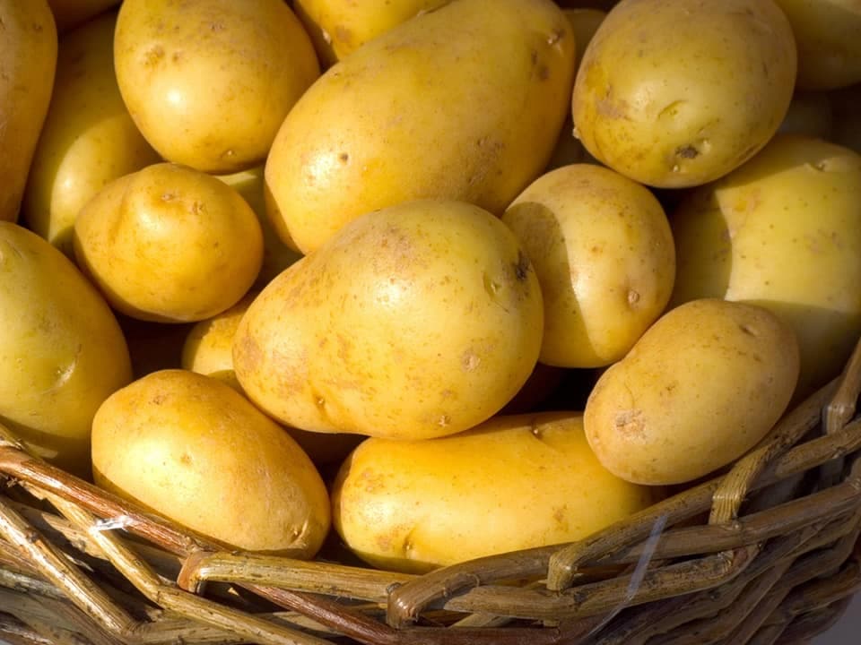 Pommes de terre farineuses pour ragoût : astuce