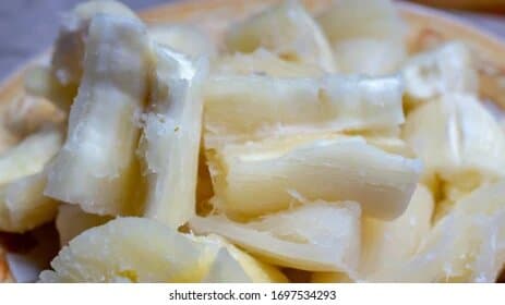 Bienfaits santé du manioc : guide nutrition