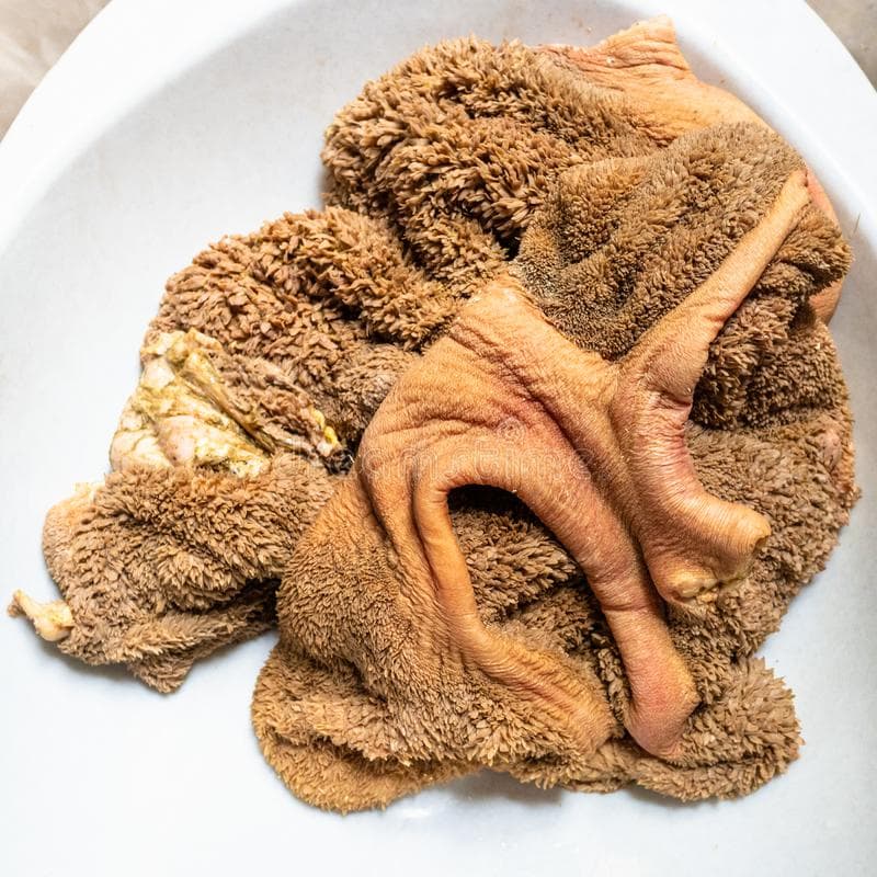 Astuces pour nettoyer des tripes