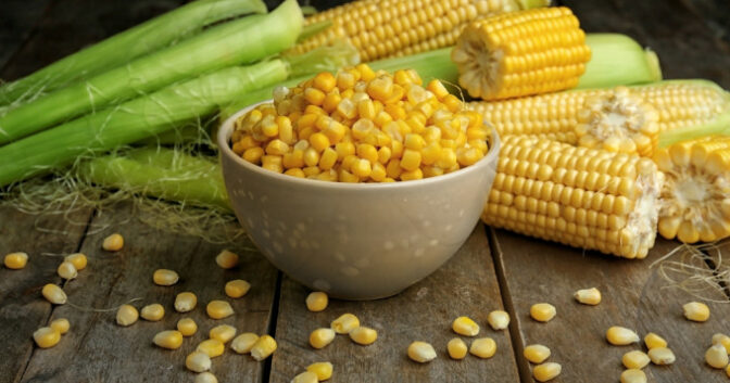 4 Utilisations du maïs jaune dans l’alimentation