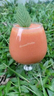 Smoothie de papaye
