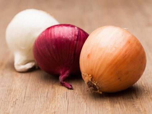 L’oignon : bienfaits, utilisation et idées recettes…