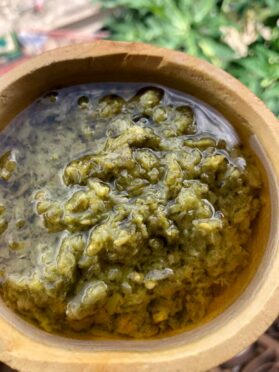 Du piment vert fait maison