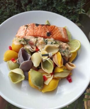 Saumon a la crème