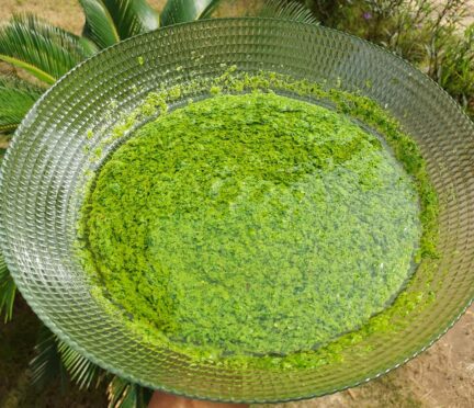 Marinade verte tout usage