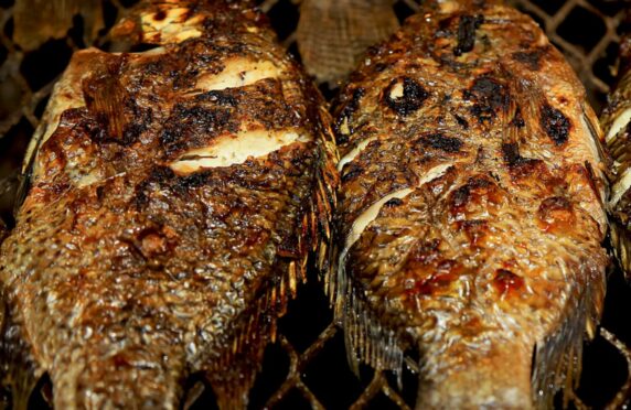 Comment braiser votre poisson sans qu’il  ne colle sur le grillage