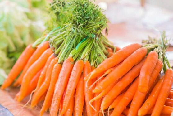 Peut-on congeler des carottes ?