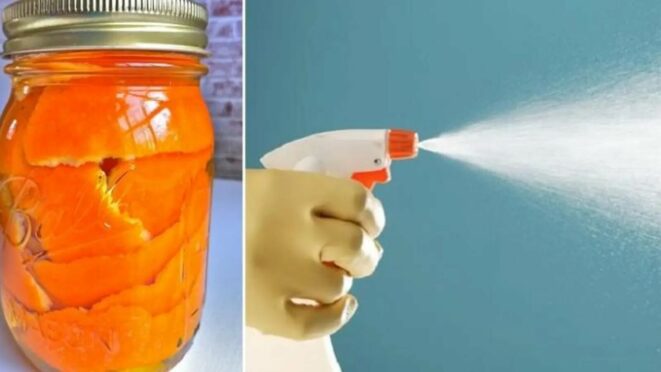 Utilisation des pelures d’orange pour en faire un produit ménager bio!
