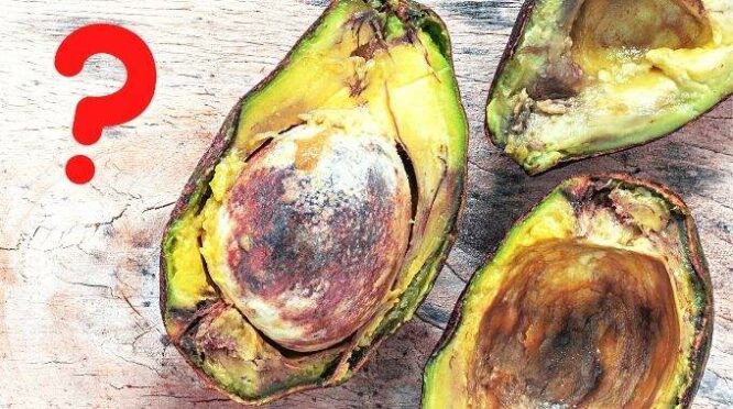 Empêchez les fruits coupés de noircir