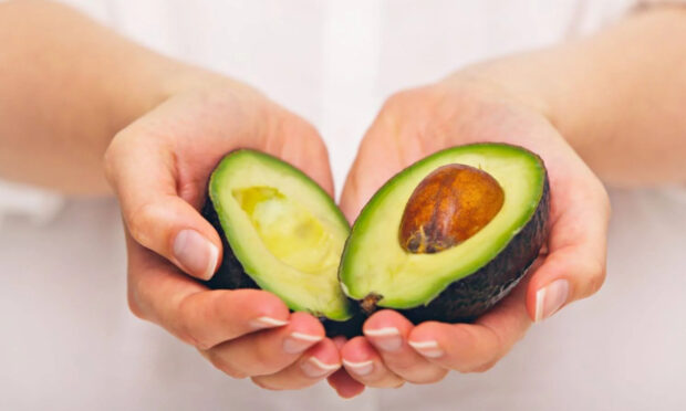 Astuces pour garder la moitié d’un avocat