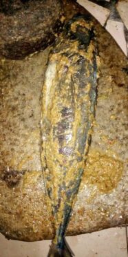 Délicieux poisson braisé