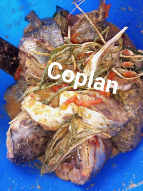 Mulet frais en papillotes ou encore ndomba de poisson
